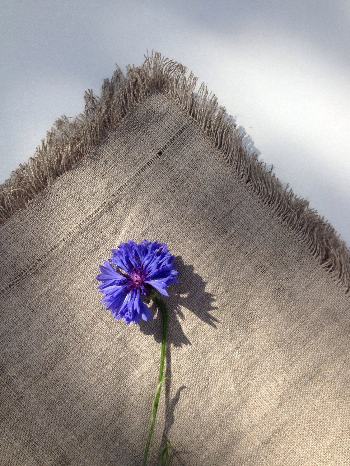 Linen Napkins, Set of Six Natural Cloth Napkins, Cloth Dining Napkins, Frayed Napkins, Large Table Napkins  by Linenbee
